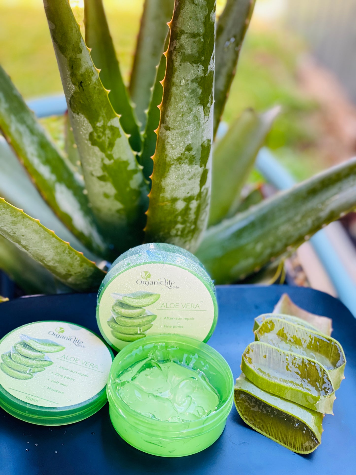 Aloe Vera Gel Skin Treatment Organic Life Style Products